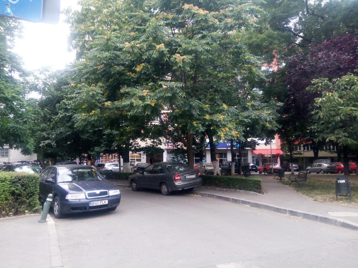 Apartament Anca Bucarest Extérieur photo